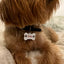 Bone Shaped Dog Name Tag